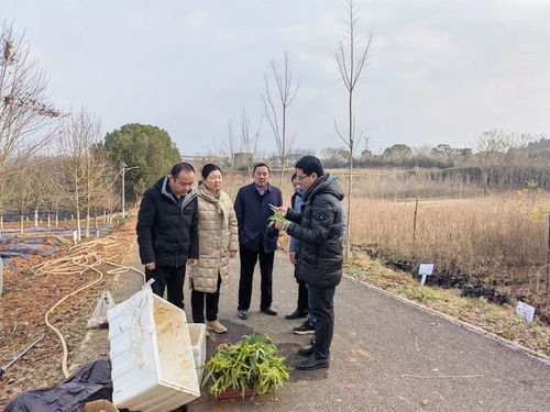 中藥材所栽培團(tuán)隊(duì)赴武漢市林業(yè)工作站開展合作交流