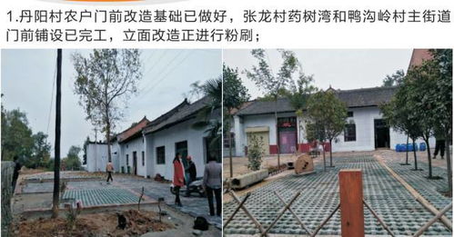 十月份聯(lián)村黨委林業(yè)種殖工作紀(jì)實(shí) 創(chuàng)新模式與生態(tài)富民雙贏