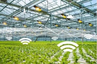 線上綠色農(nóng)業(yè):綠色農(nóng)產(chǎn)品牽手&ldquo;互聯(lián)網(wǎng)&rdquo;,帶來(lái)新機(jī)遇