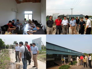 我院科研處與上海市農業科技服務中心開展黨建雙結對活動，共促農業科技服務發展